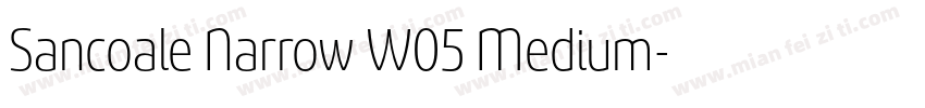 Sancoale Narrow W05 Medium字体转换
